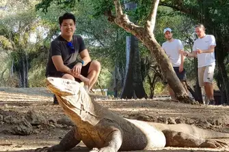 The Komodo dragon, part of the monitor family, is the world's largest lizard