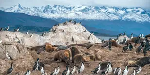 Antarctica