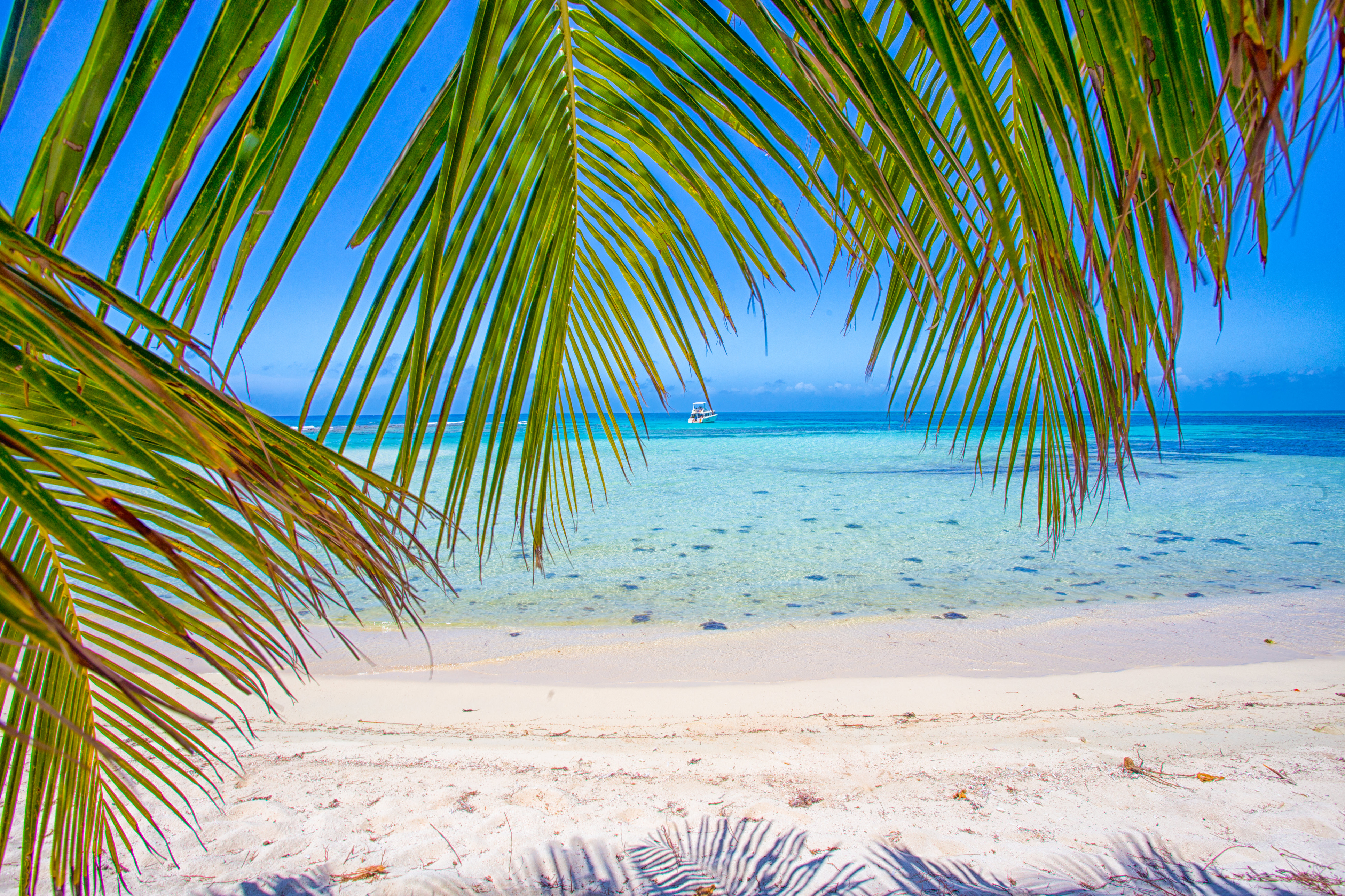 Glovers Reef Atoll Belize