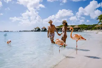 Sensational beaches, great restaurants and wonderful wildlife, Aruba has it all