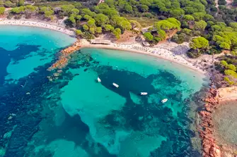 The south east Corsican beach of Palombaggio, near Porto Vecchio, is justly renowned as one of Europe's finest, with its umbrella pines, orange rocks, white sand and gin-clear waters