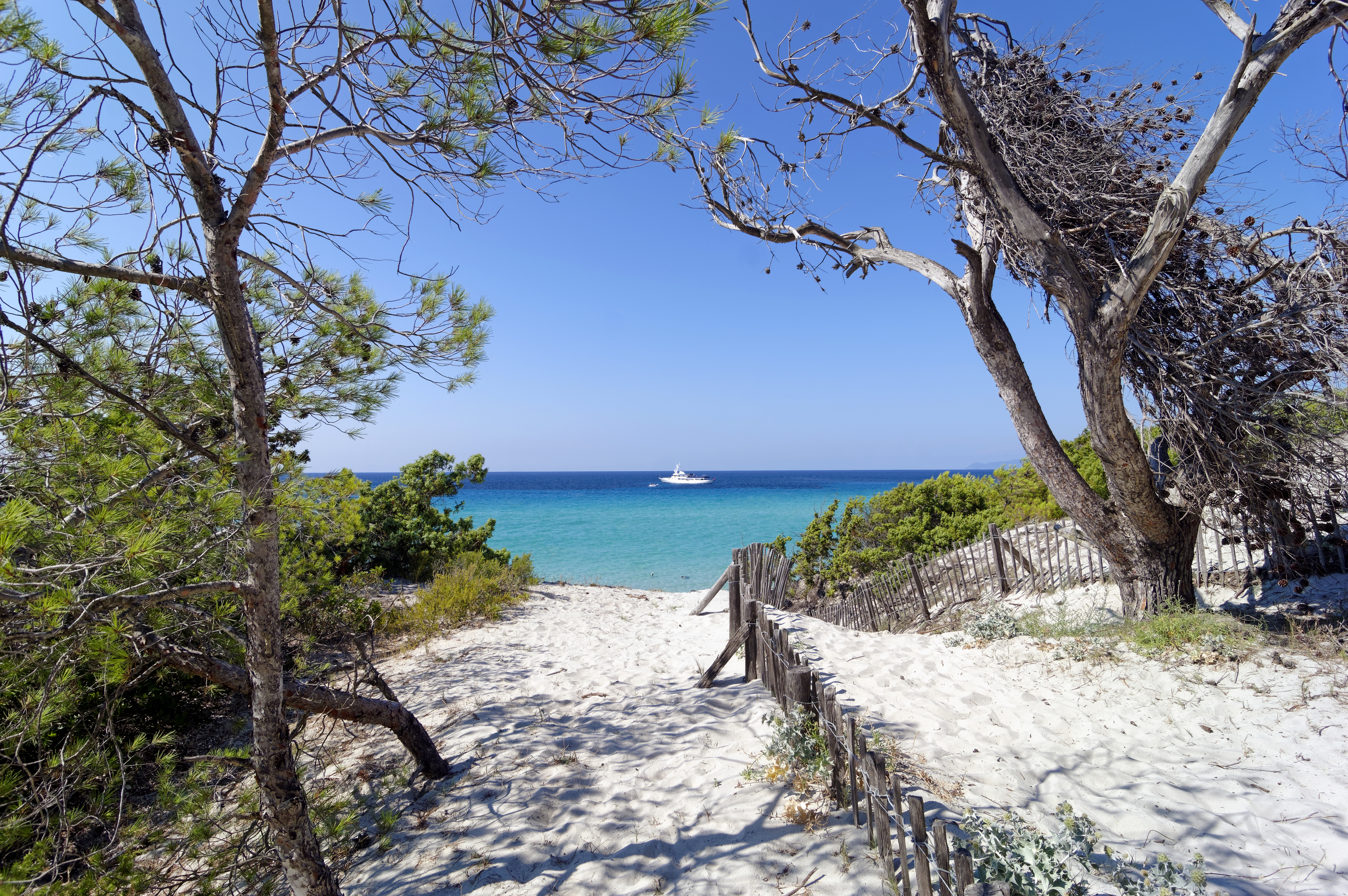 Saleccia beach, Corsica
