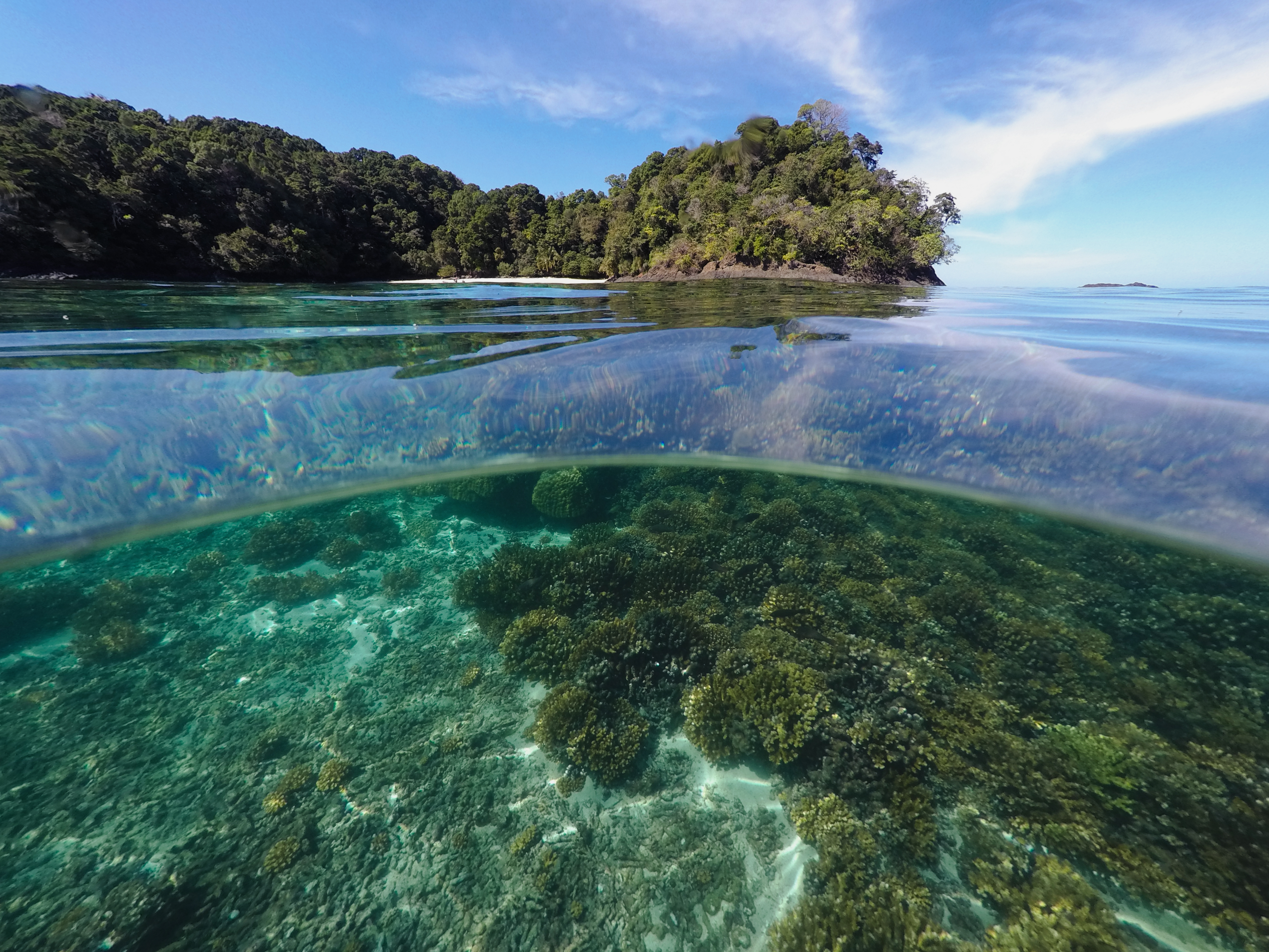 Coral reefs in Panama's Pacific Ocean