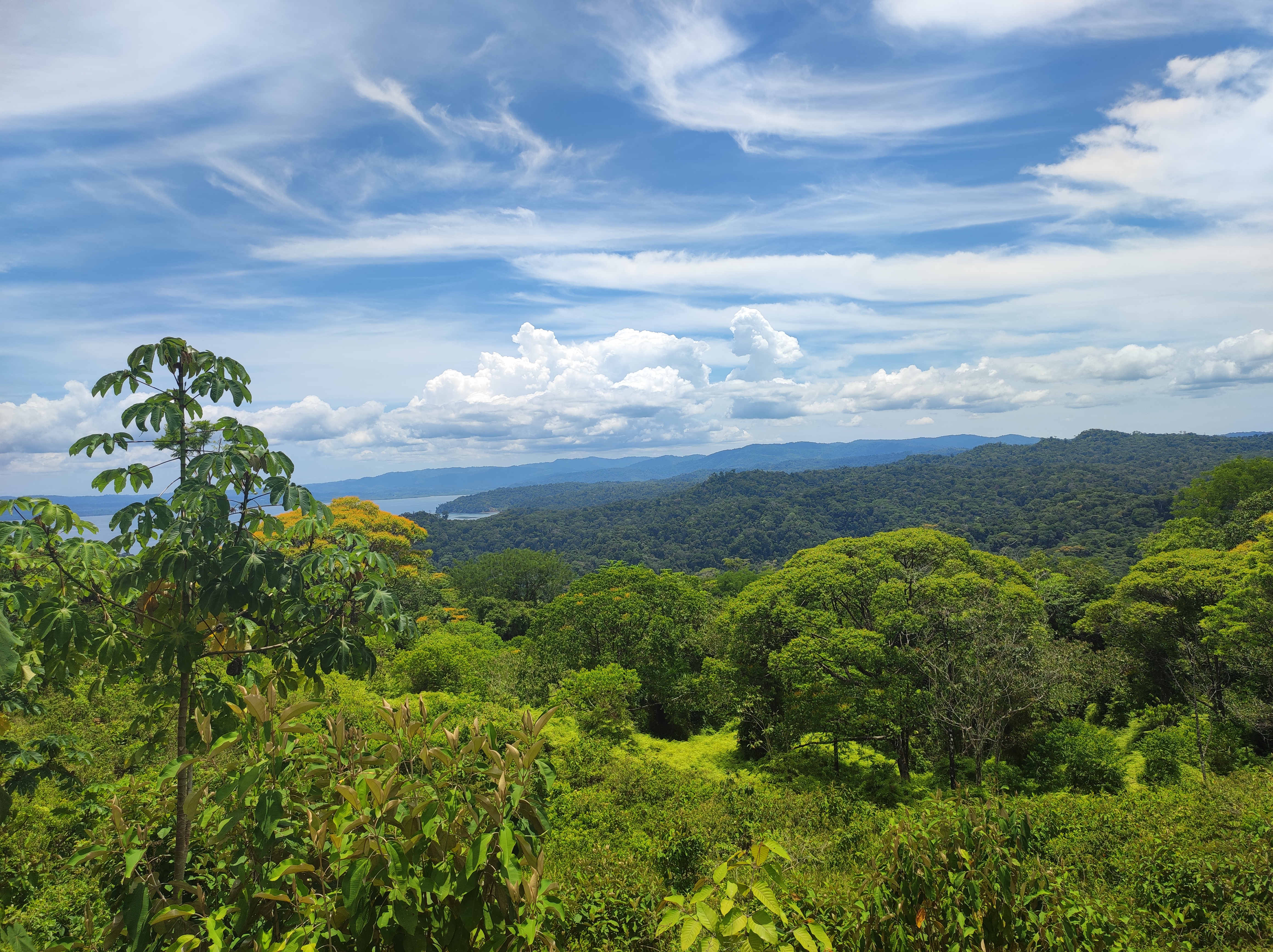 View of the Golfo Dulce region of Costa Fica from a hill