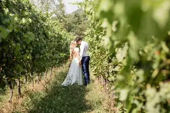 Vineyard wedding photos, how stunning