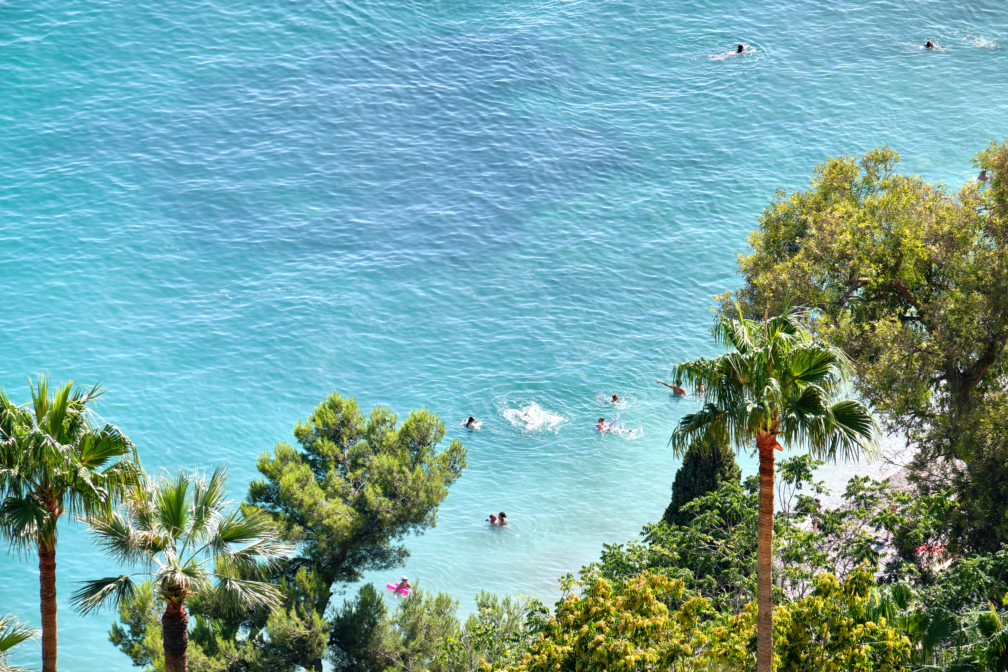Group swimming in sea