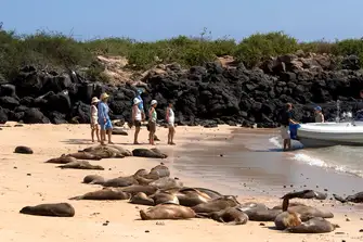 When your tender arrives, you'll have to share the beach with the locals