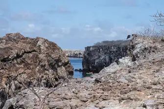 Prince Philip's Steps is where you can get up close to the variety of seabirds on Genovesa Island