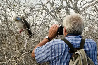 This red-footed booby is in the frame. Stay close to your guide and don't forget your camera when heading ashore
