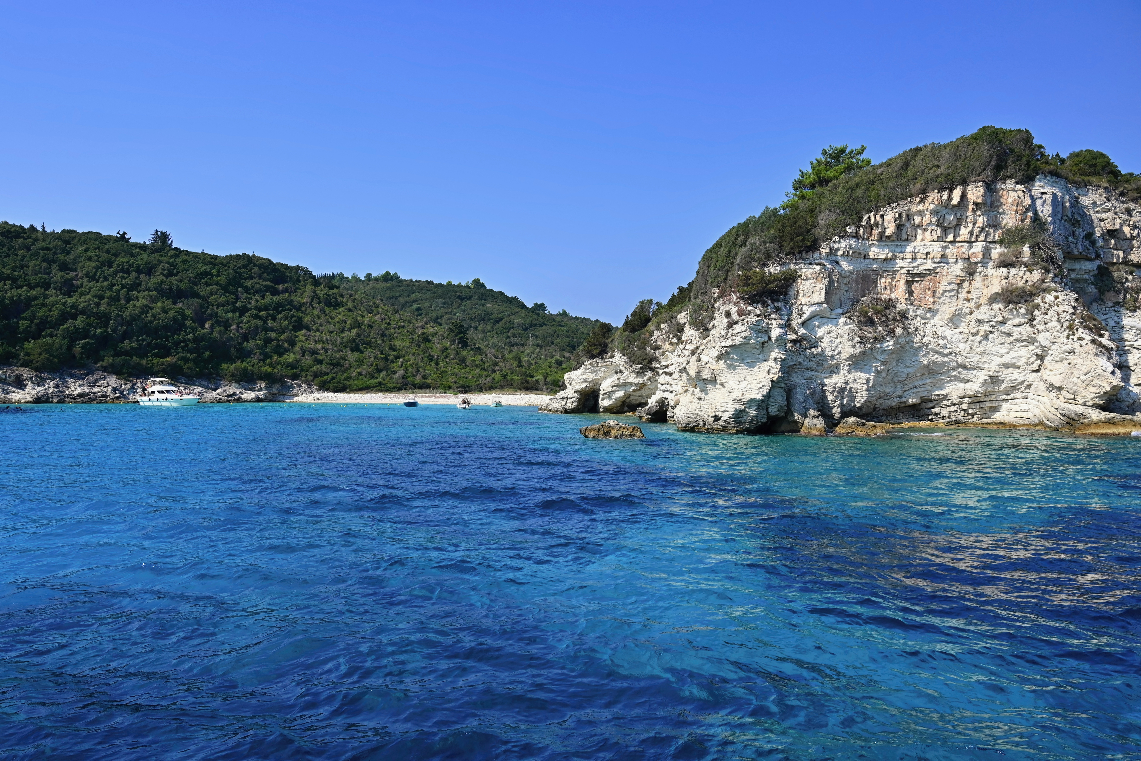 Antipaxos
