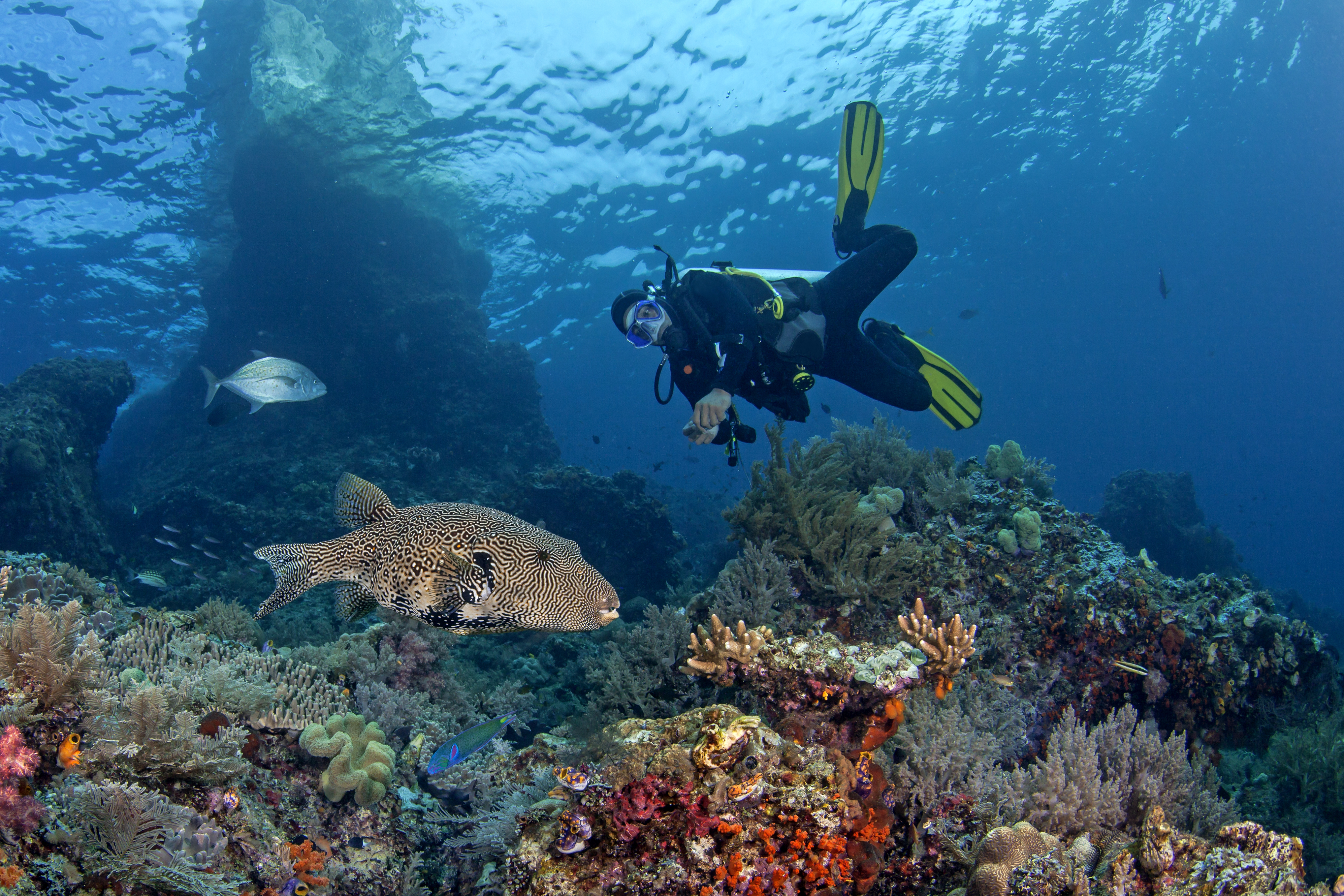 Indonesia