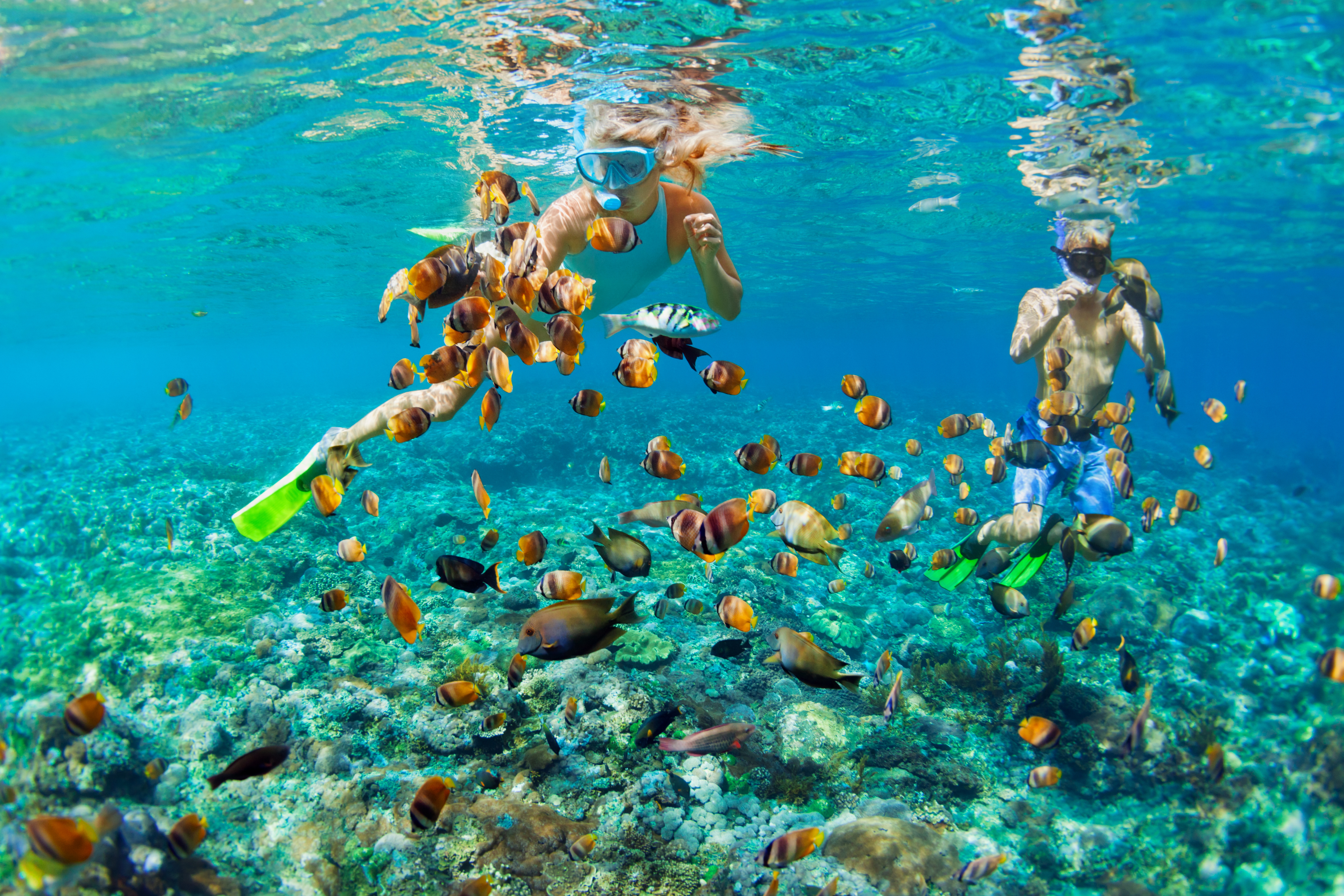 Maldives snorkelling