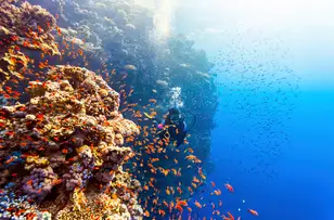 Red Sea