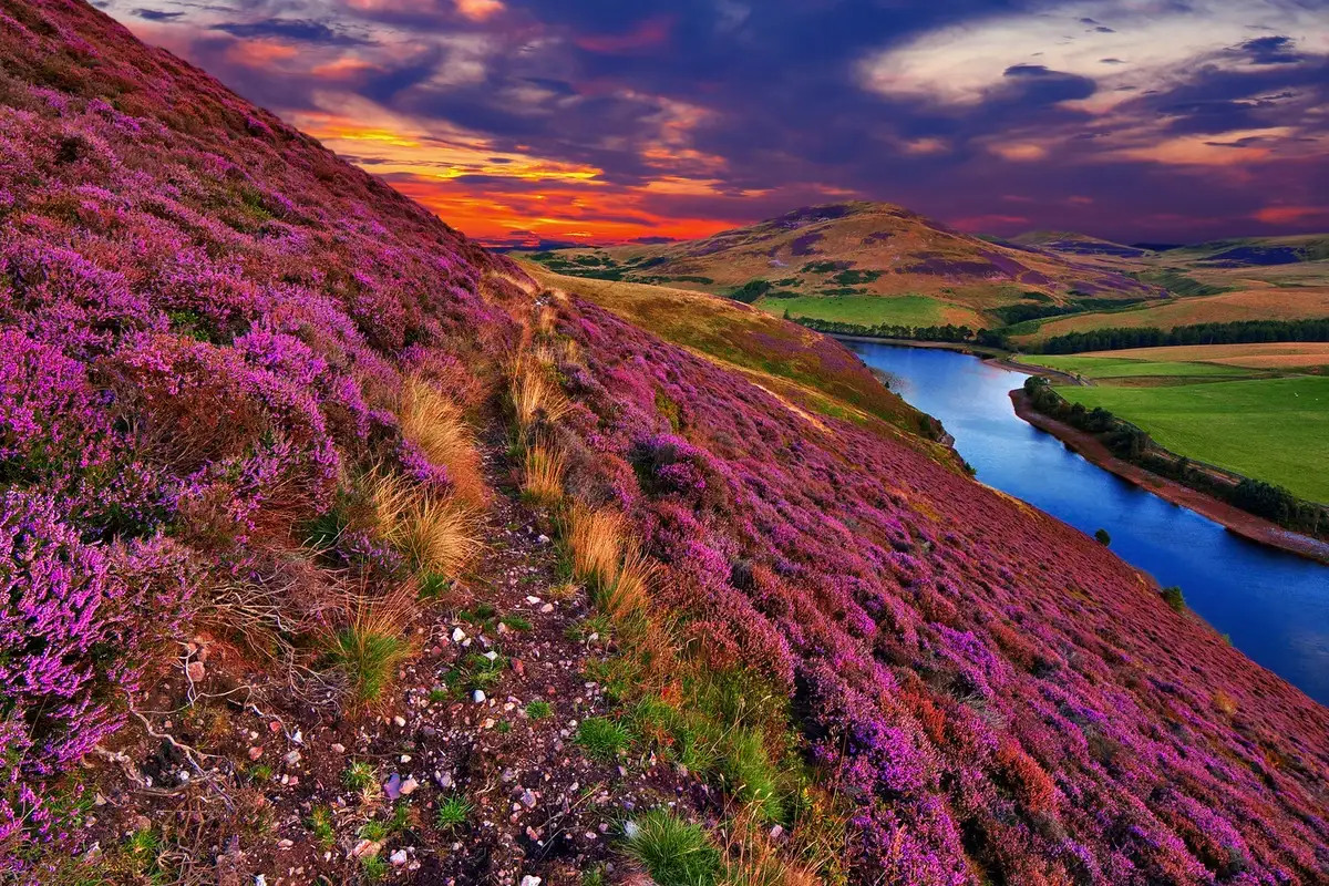 Pentland Hills, Scotland
