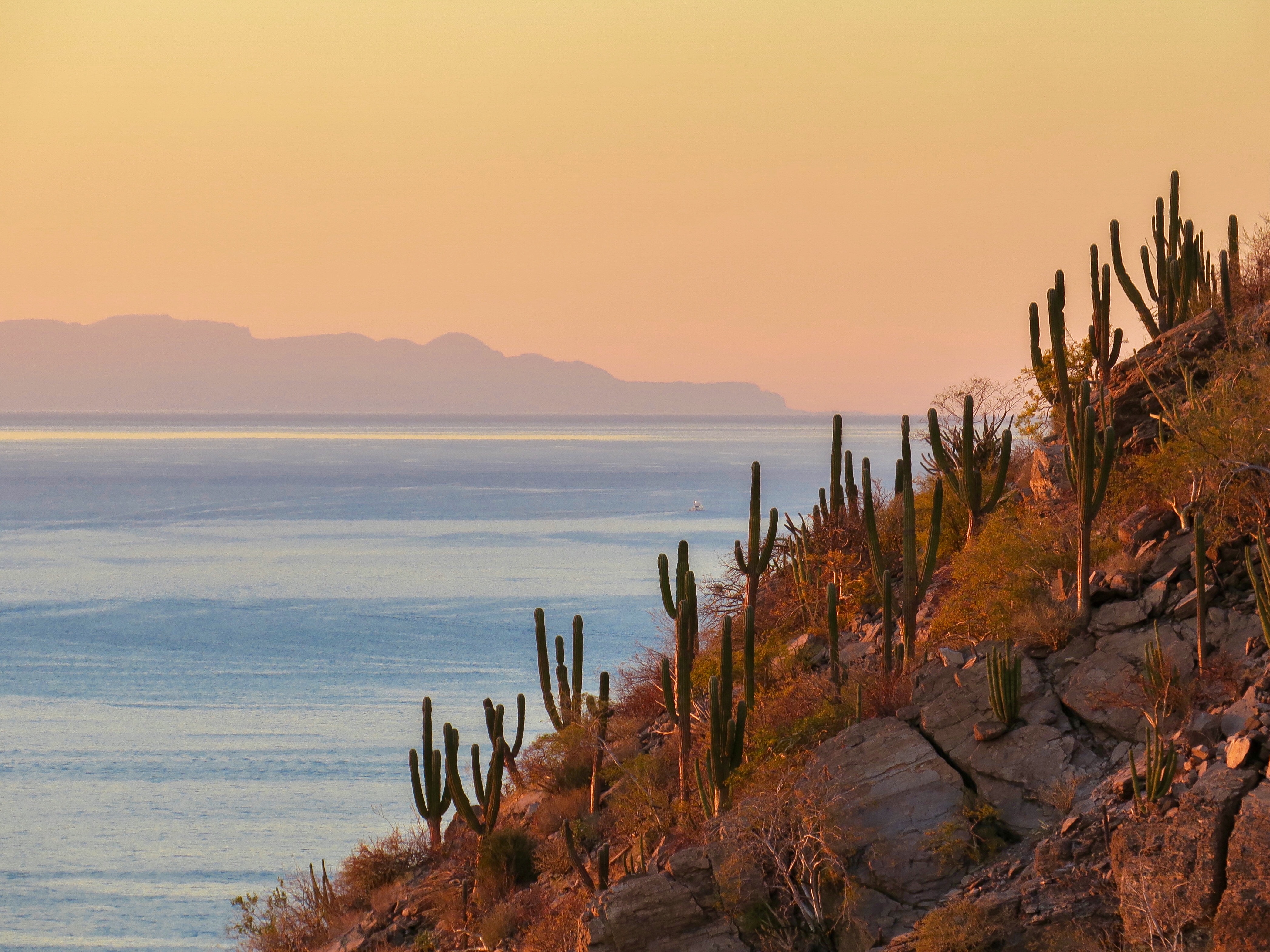 Baja California Sur, Mexico