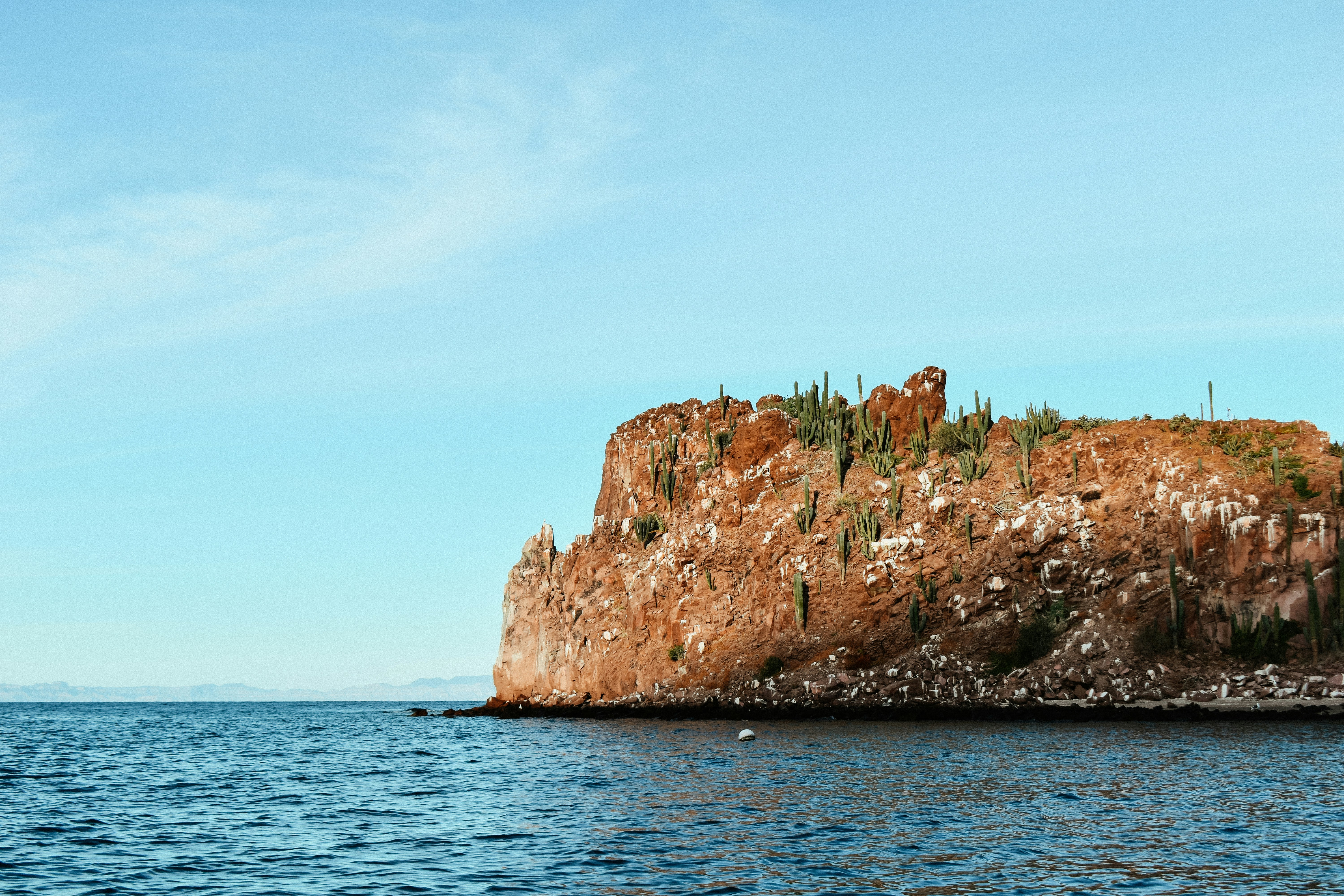A rocky coastal cliff featuring green cacti growing on top