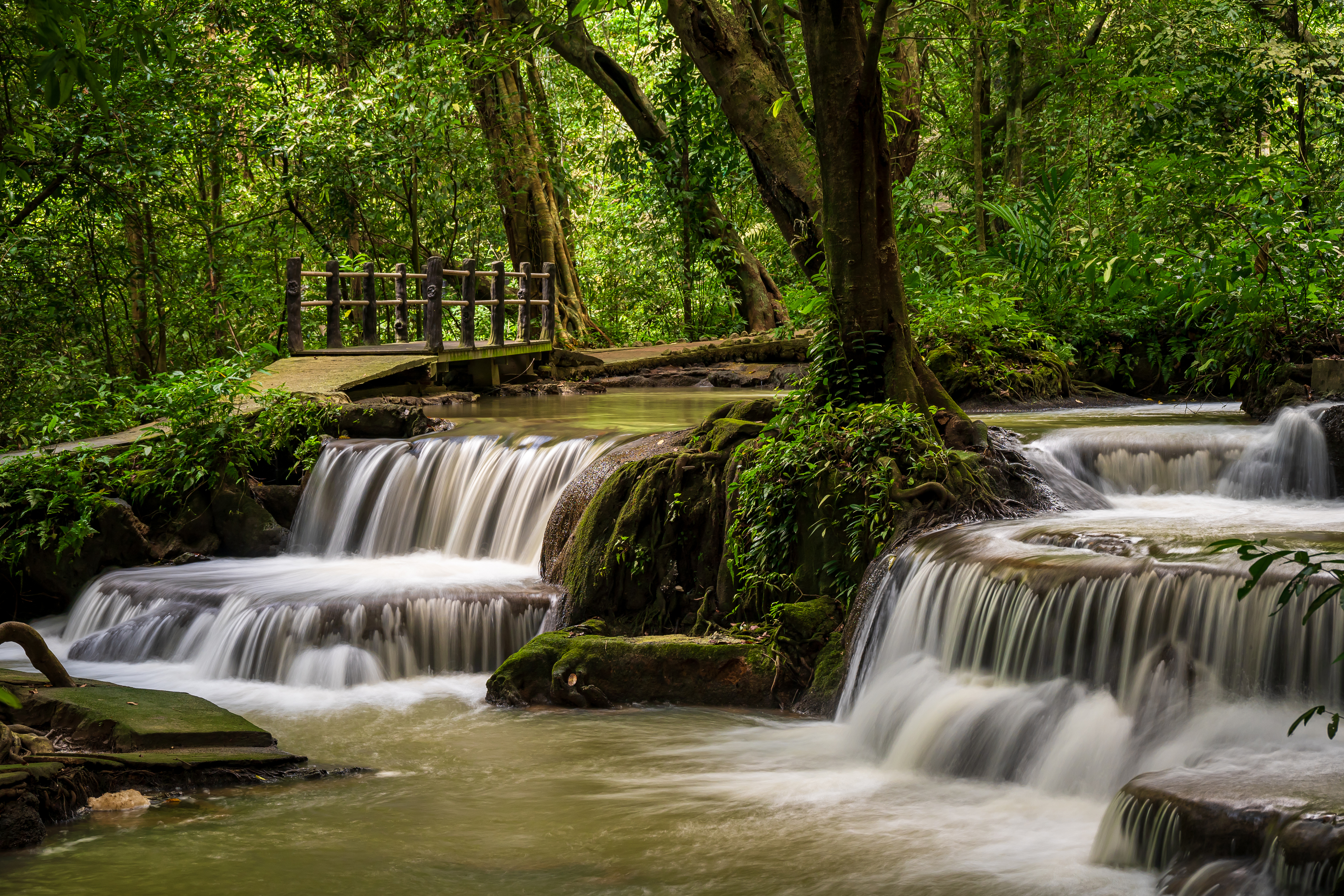 Than Bok Khorani National Park, Thailand