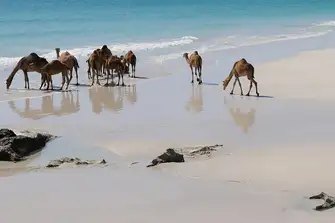 Camel Beach located on the southern end of Kargi Bay