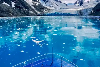 Cruise up the cobalt-coloured ice melt to the tip of glaciers, like this one in Drygalski Fjord-