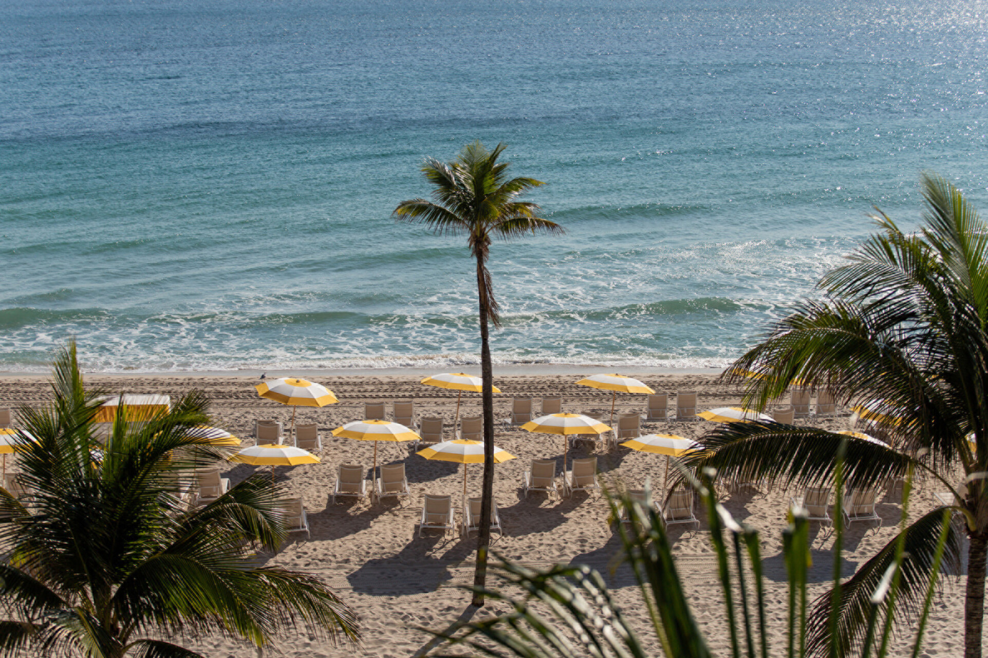 Four Seasons Fort Lauderdale