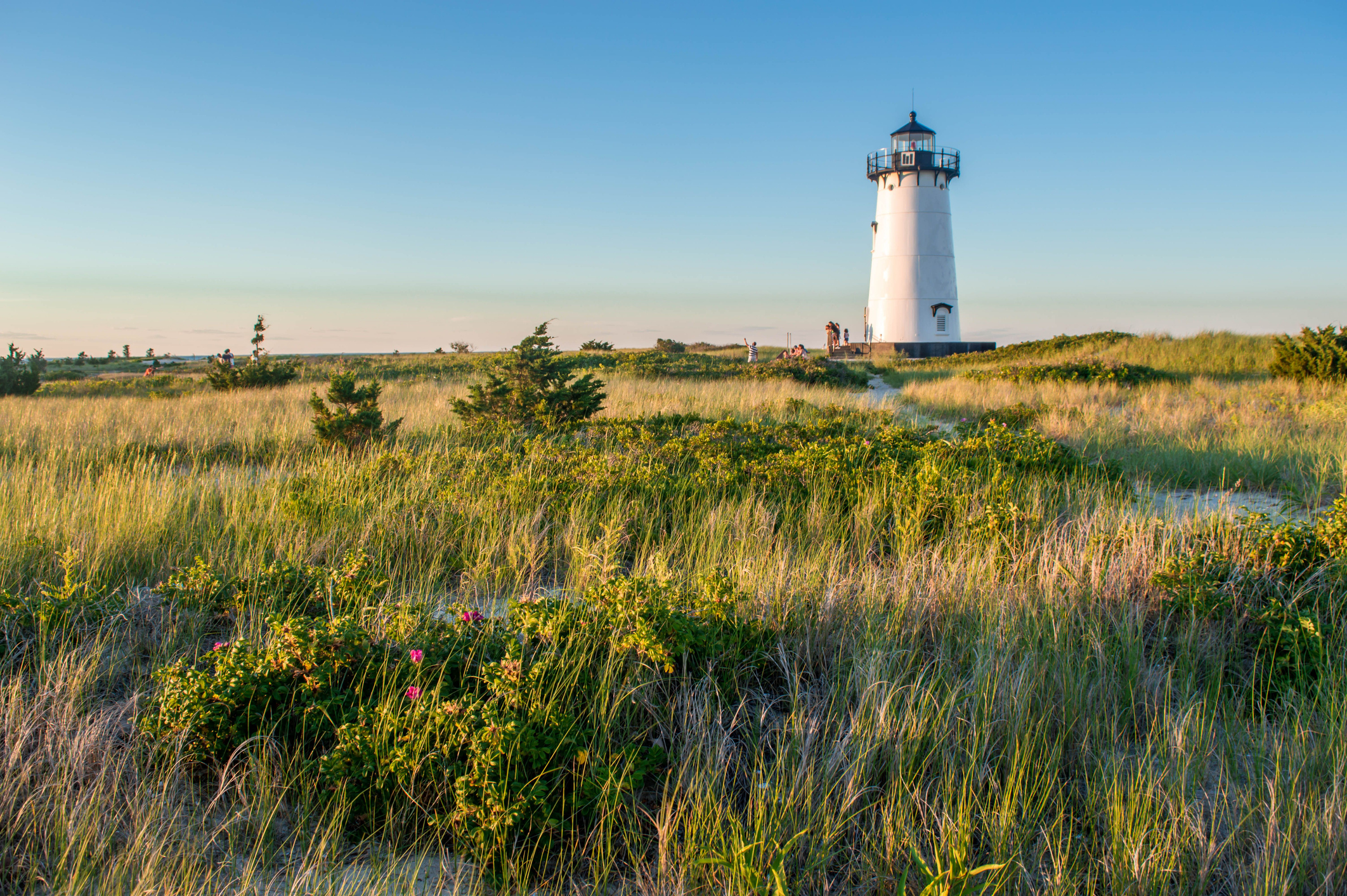 Food, wine, and coastal heritage