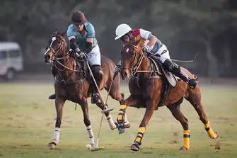 Come to watch polo, the fast-paced sport of kings!