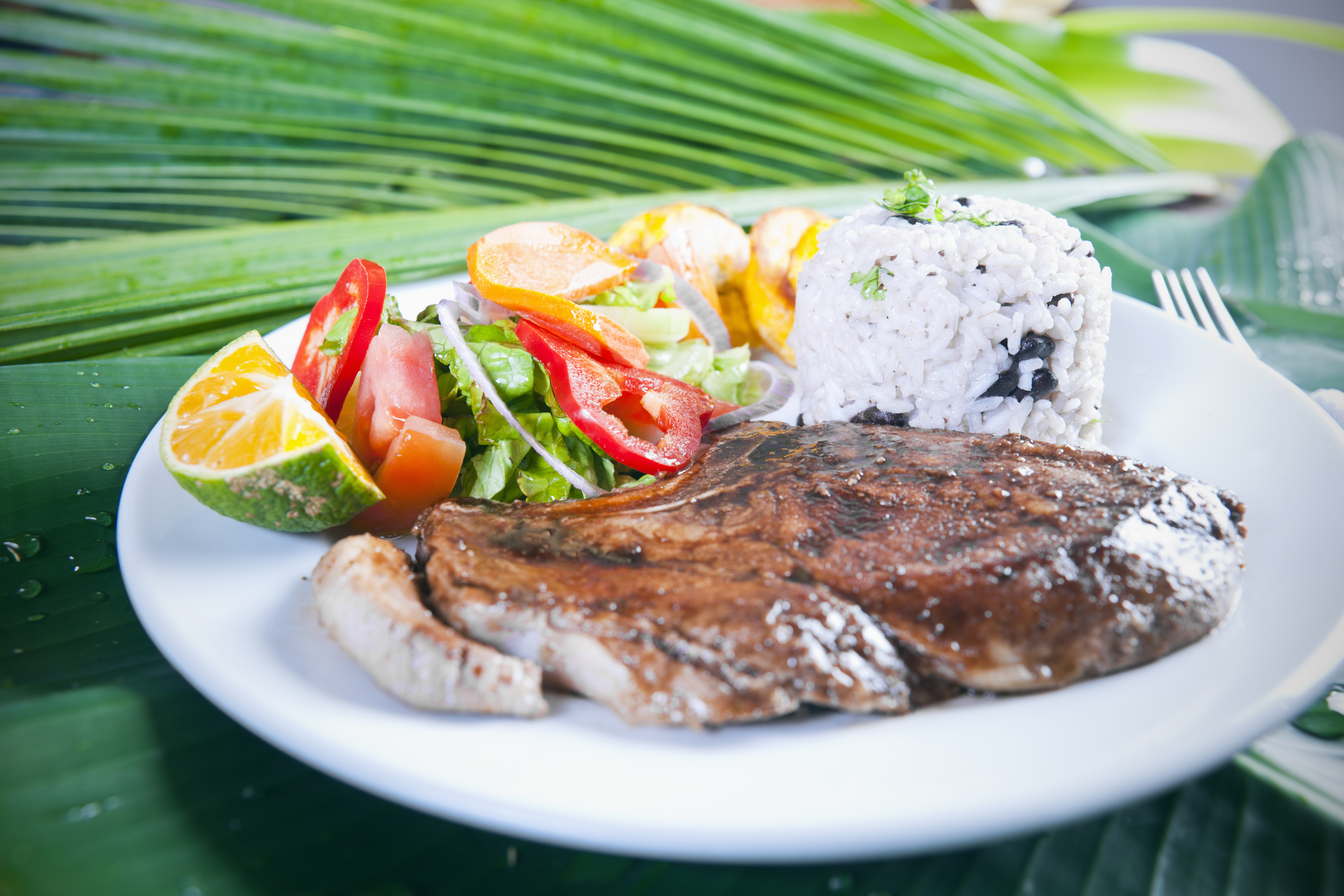 Traditional Costa Rica pork casado