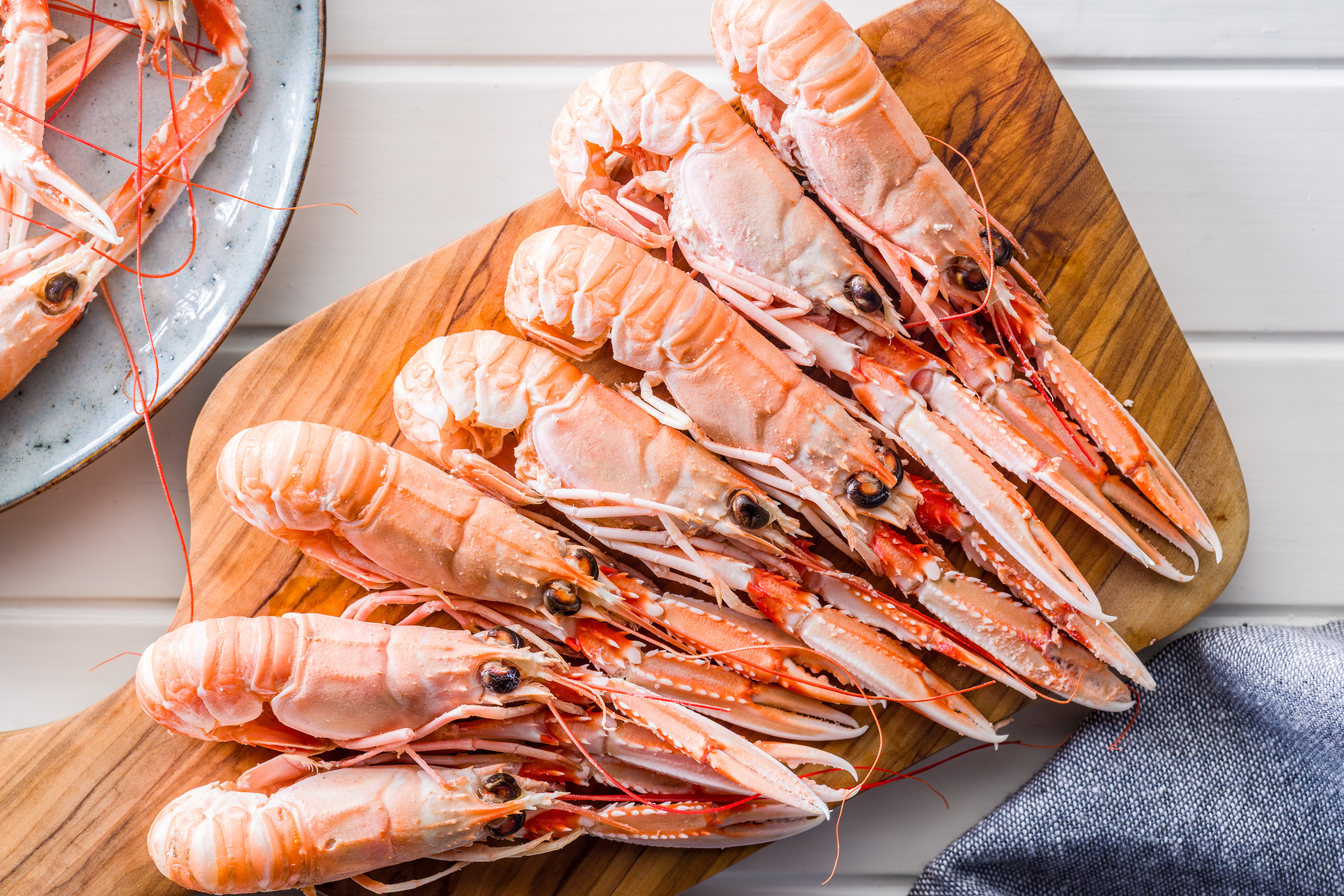 Scampi langoustine
