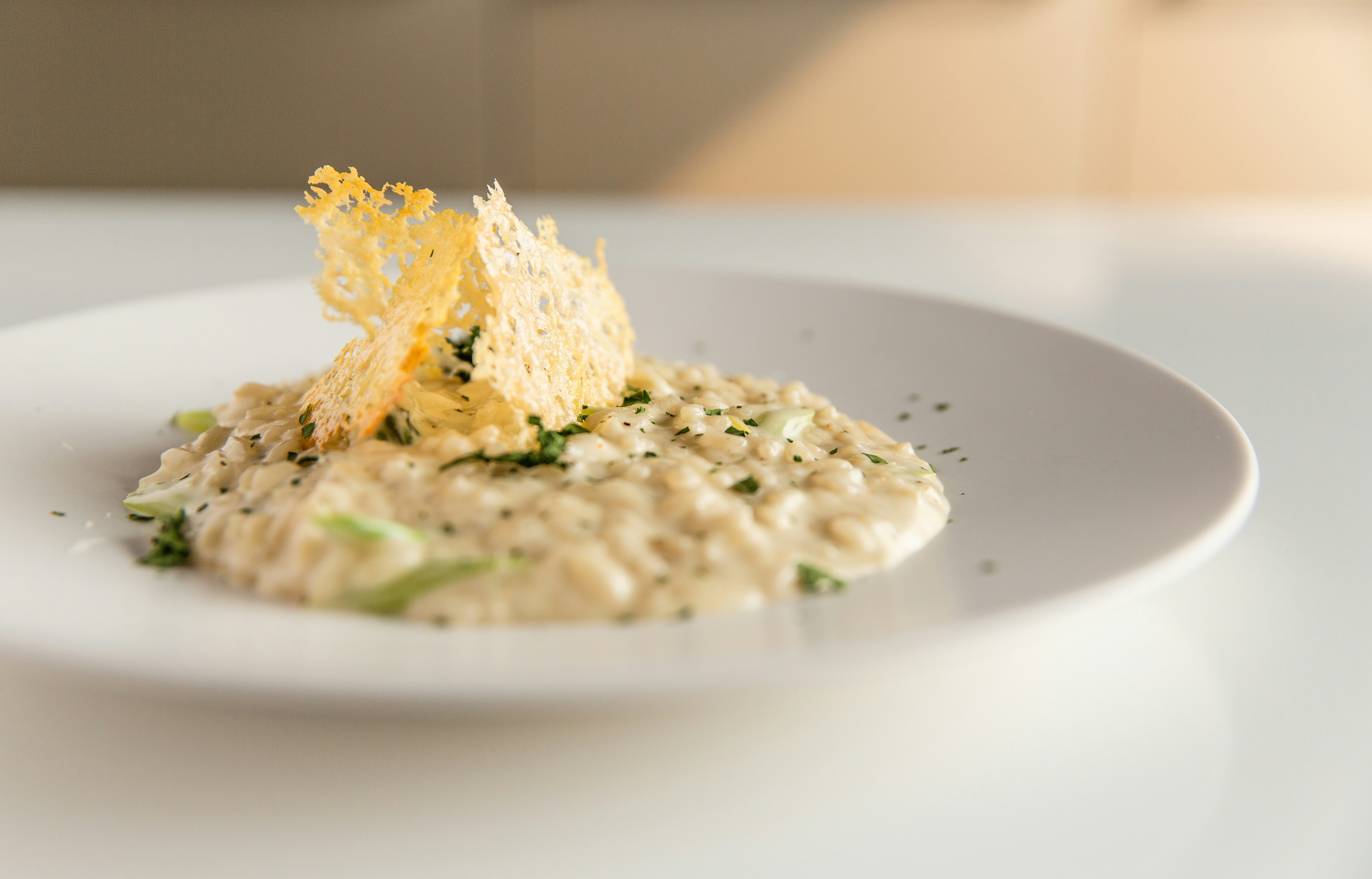 A gourmet white ceramic plate holding creamy risotto topped with crispy parmesan tuile and green herbs.