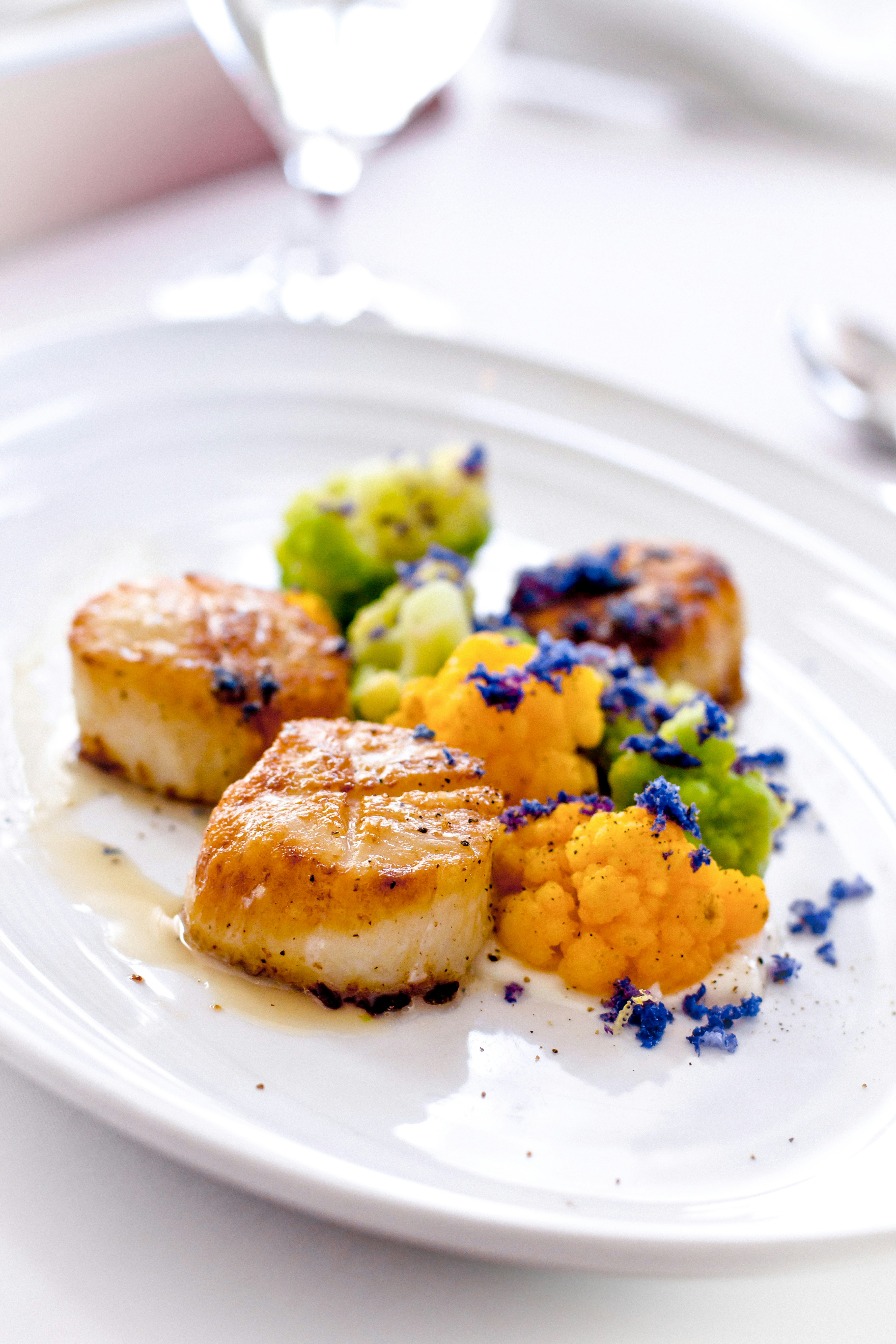 Seared scallops