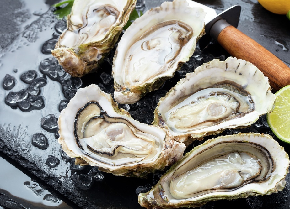 Set of fresh opened oysters with ice lemon and knife on black slate