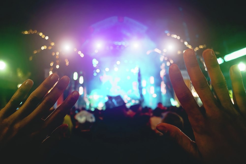  A group of people at a concert
