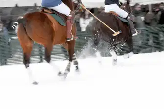 Nestling in the Swiss Alps, the St Moritz Polo World Cup is a unique event