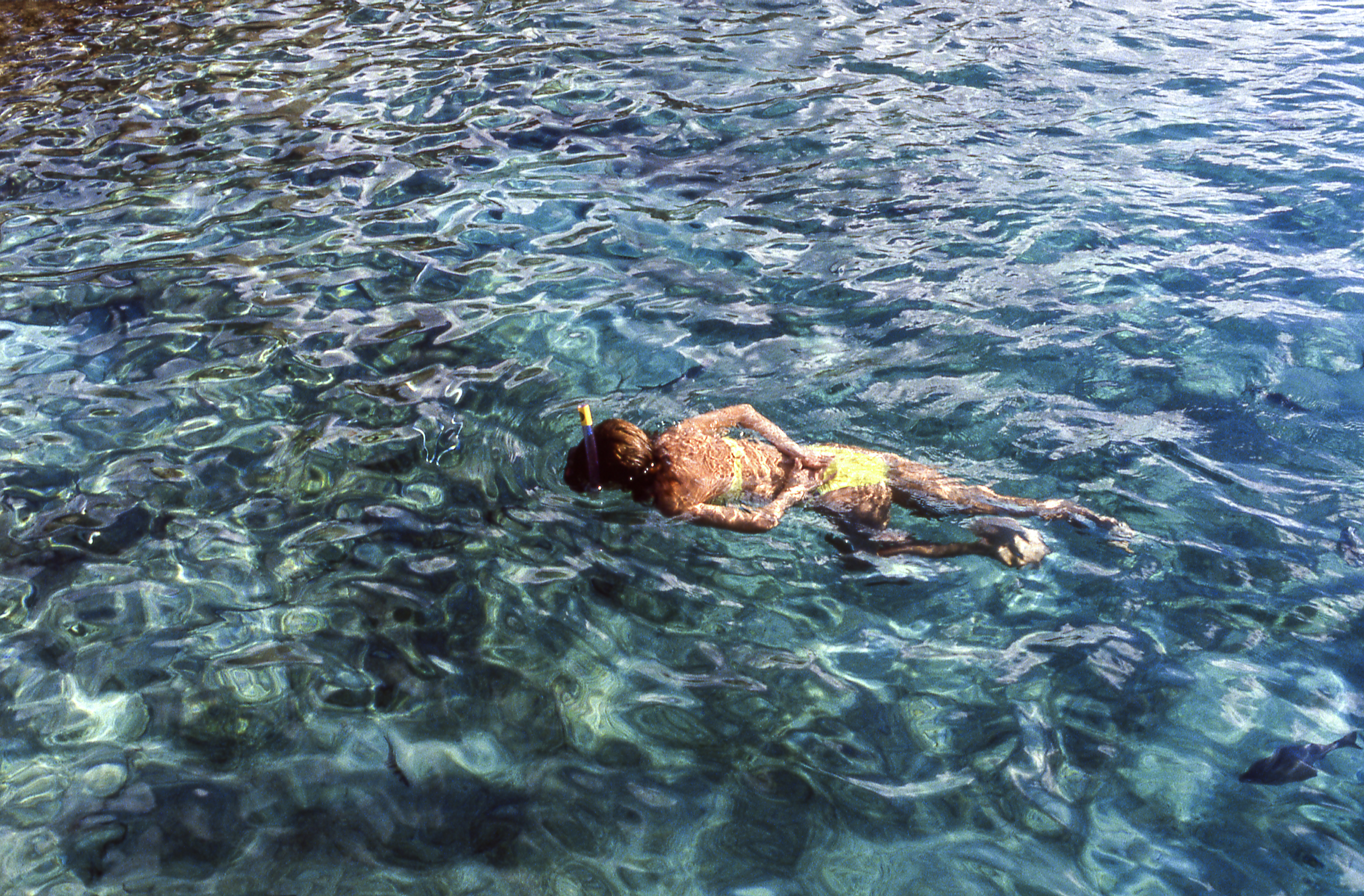 Snorkelling Italy