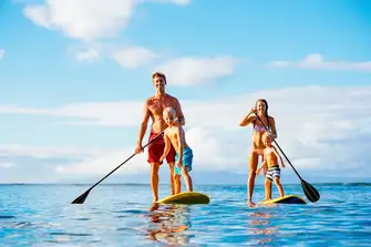 For something less high-octane, try a family paddleboard safari