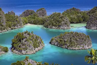 The Raja Ampat islands are world-famous dive sites
