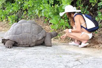 Say hello to the tortoises - they live to about 100 years old and grow to 6ft long