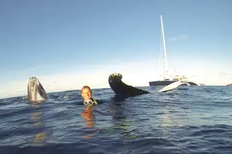 Captain Gavin swimming with humpback whales just metres from HEMISPHERE