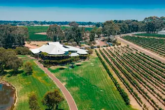 Vineyard in Margaret River, Australia