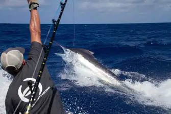 There is some incredible sport fishing in The Bahamas