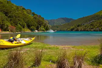 Kayaking around Marlborough Sounds has the added benefit of some exceptional vineyards ashore