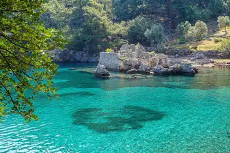 Swim off the 'Turquoise Coast' of Turkey to see turtles and dolphins