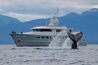 A yacht charter gives you a front-row seat in these giants' natural habitat