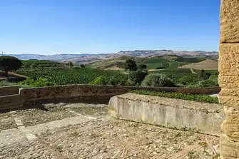 Vineyards on Tasca d'Almerita's Regaleali estate
